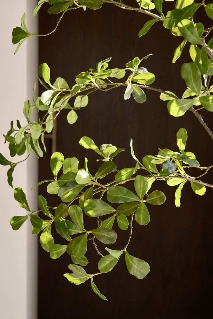 Silk House Mooring Tree 150 cm