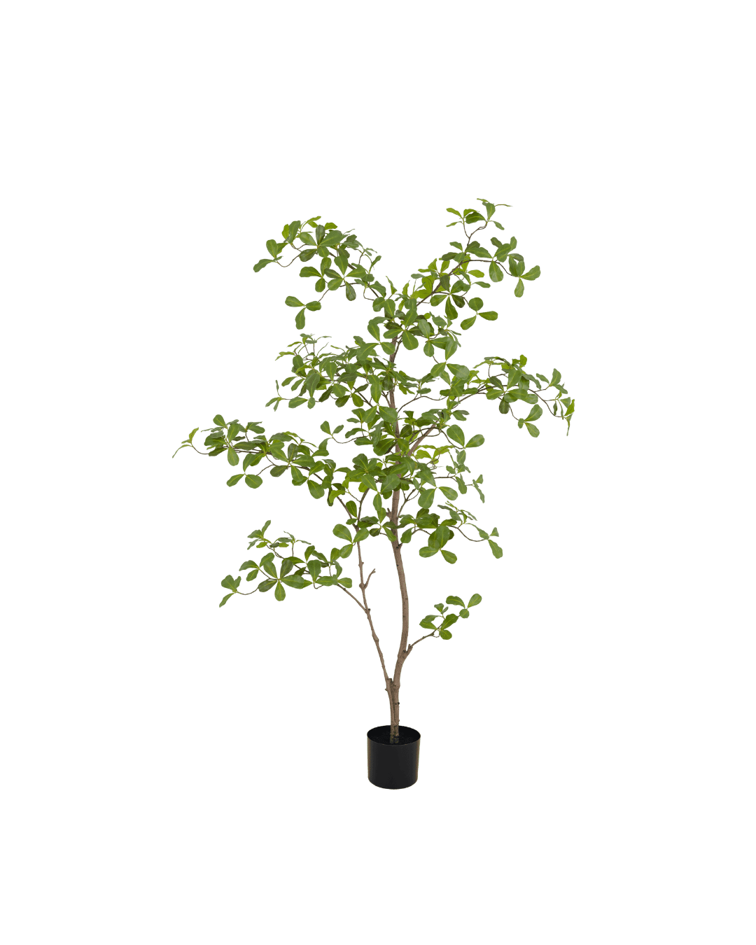 Silk House Mooring Tree 150 cm