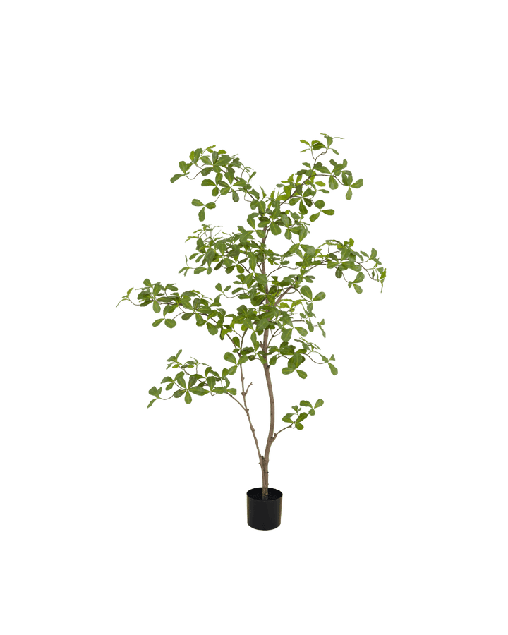 Silk House Mooring Tree 150 cm