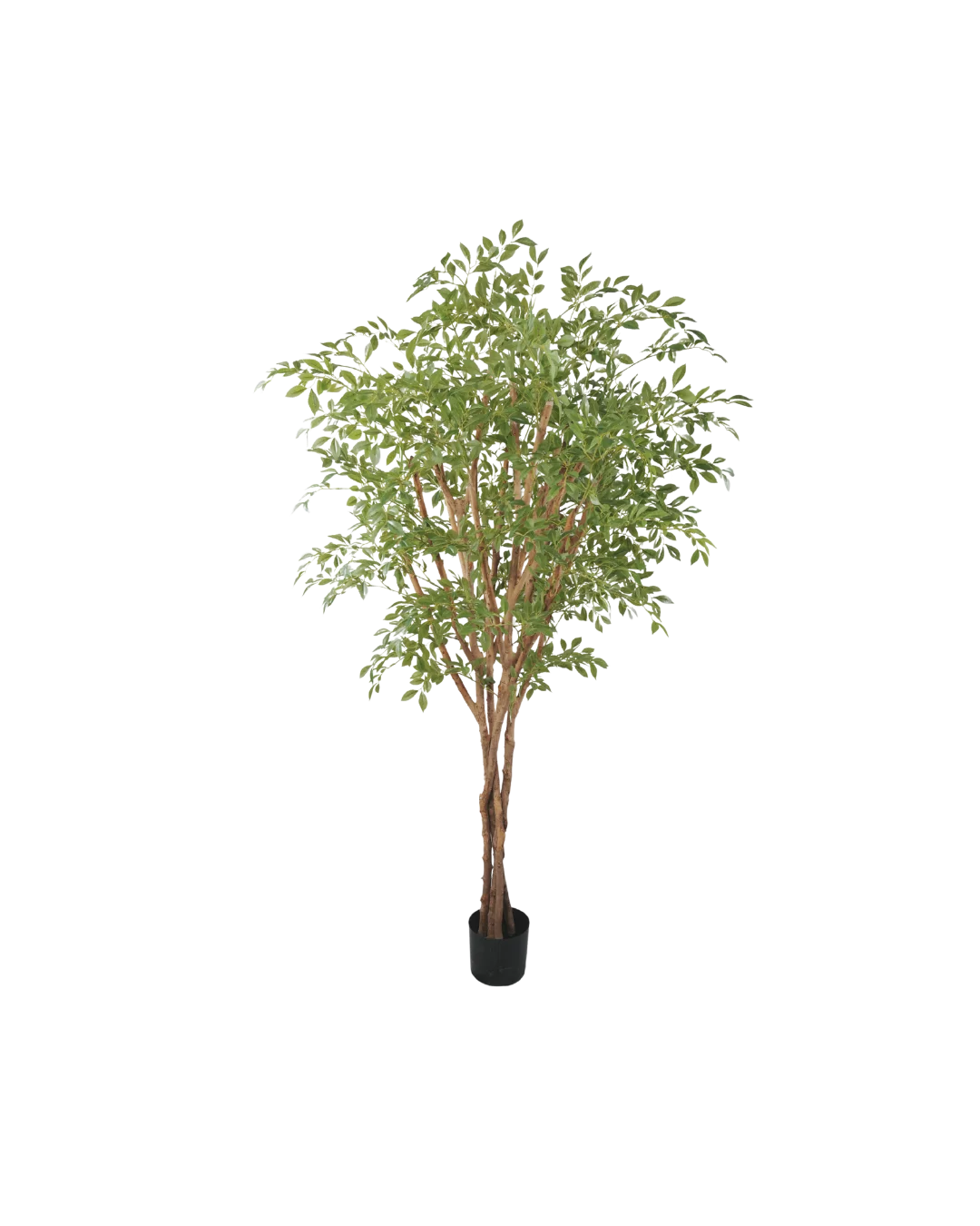 Silk House Nandina boom 180cm (wood)