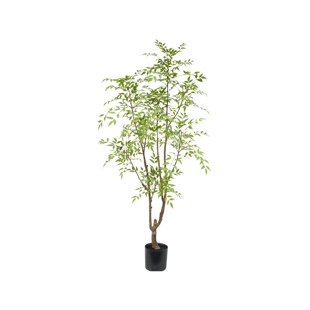 Nandina boom 180cm Silk House