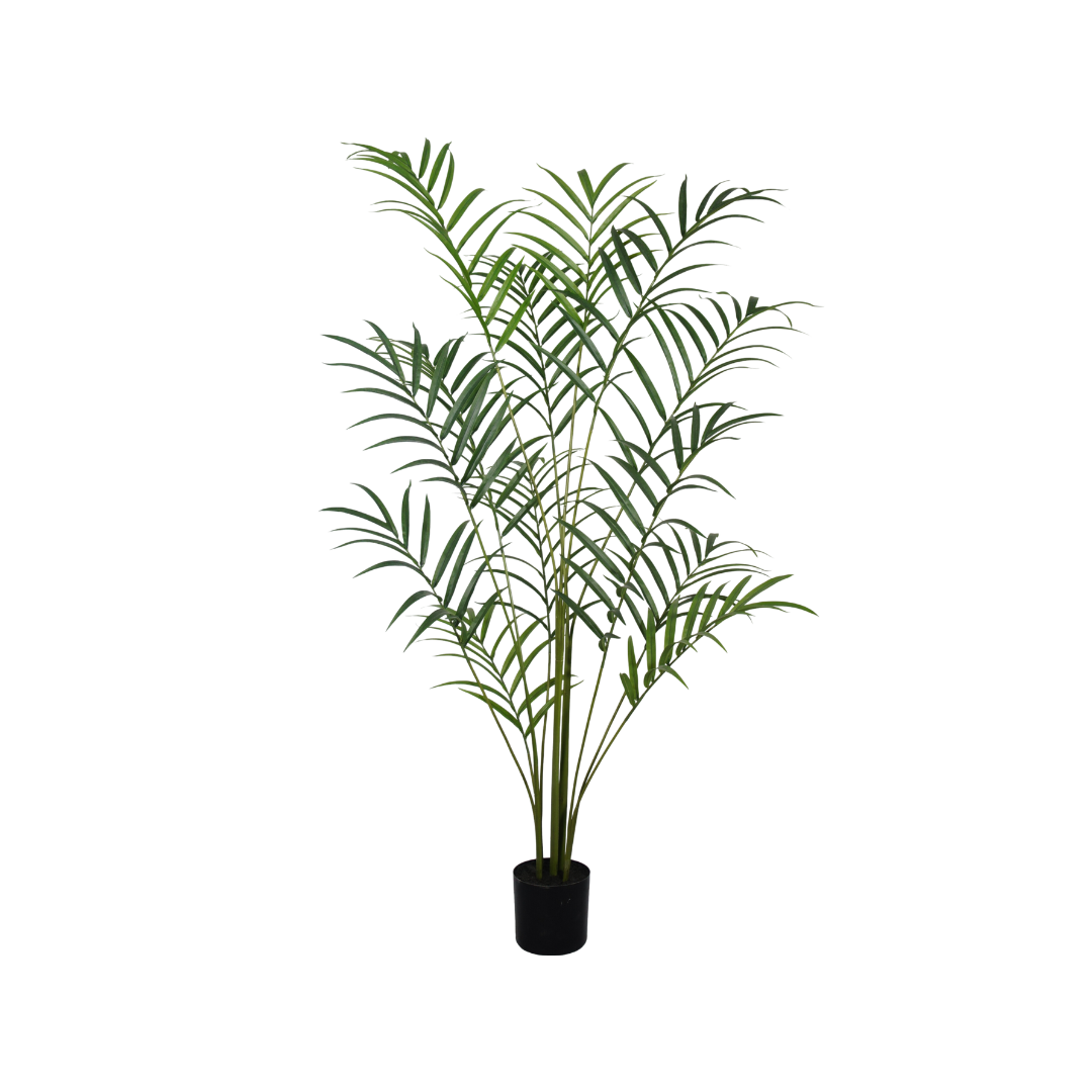 Palmplant 210cm