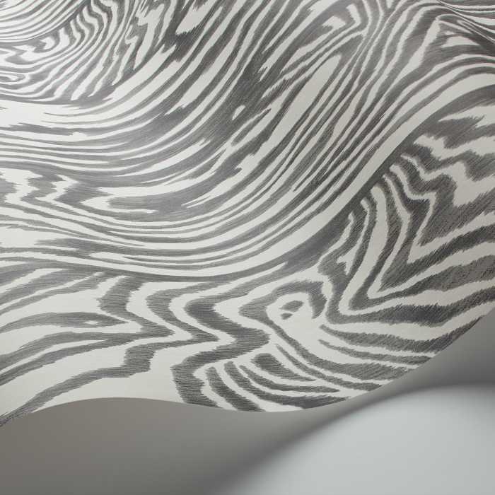 Cole and Son Zebrawood 107/1003