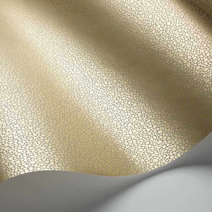 Cole and Son Goldstone 107/9041