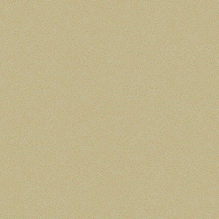 Cole and Son Goldstone 107/9041