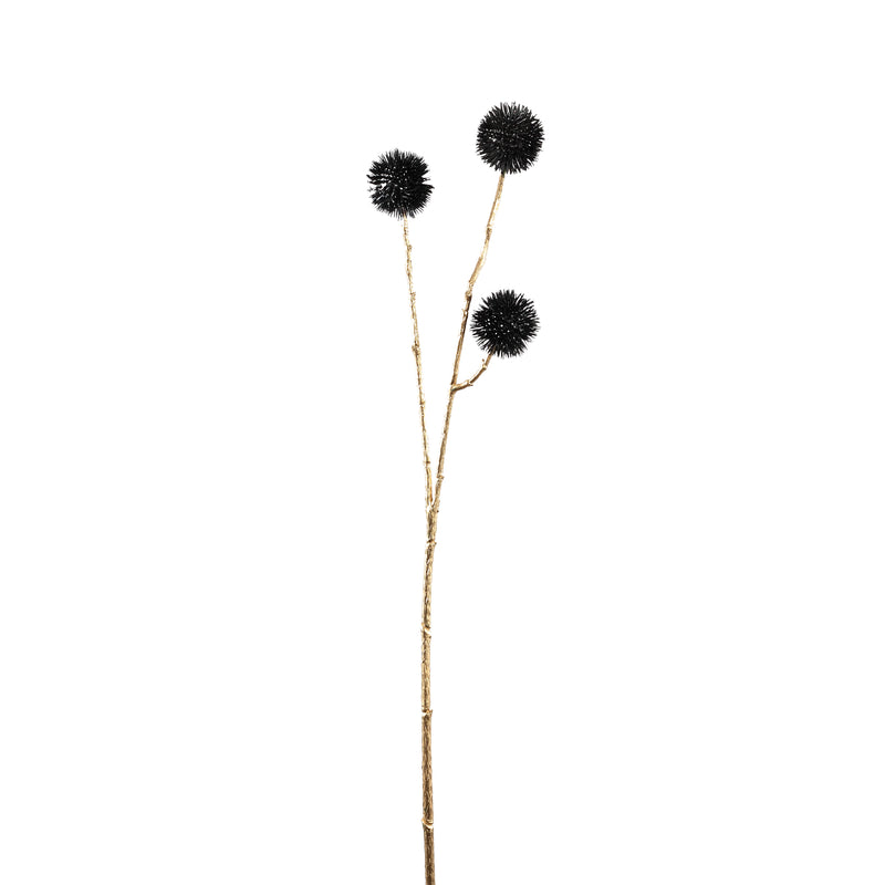 Twig Plant black echinops spray
