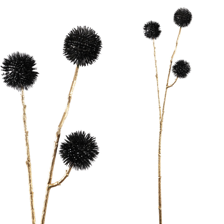 Twig Plant black echinops spray