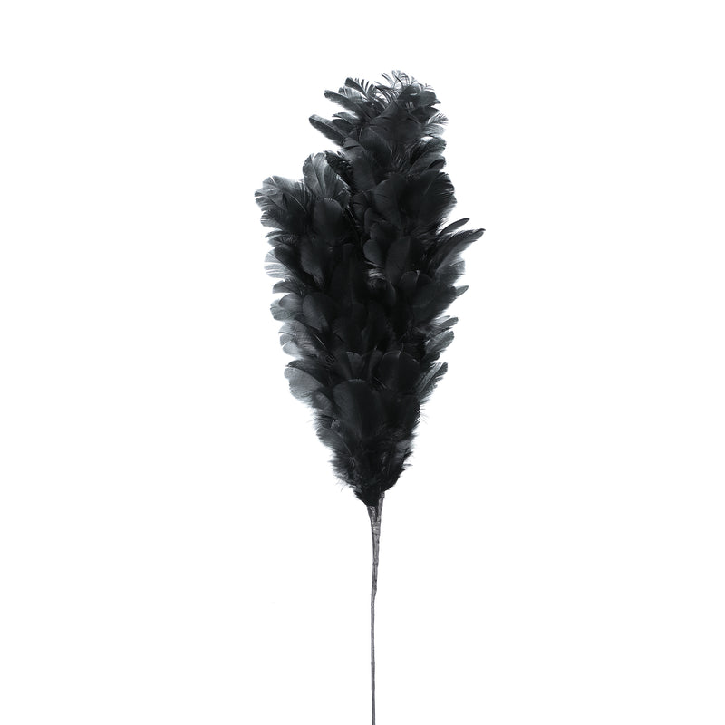 PTMD Folksy black feather
