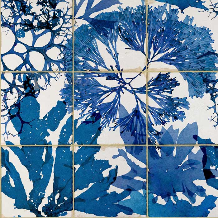 Mind the Gap Algae in Blue WP20179 behang