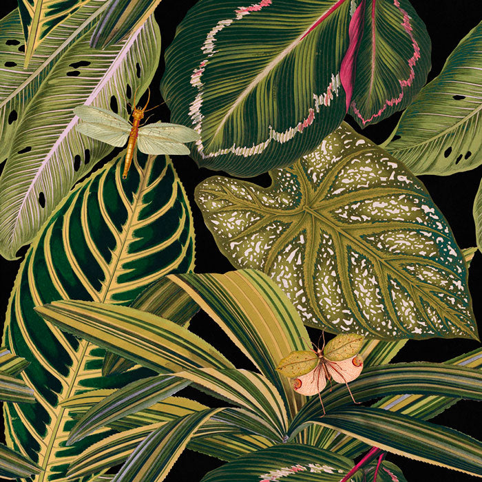 Mind the Gap Amazonia WP20159 behang