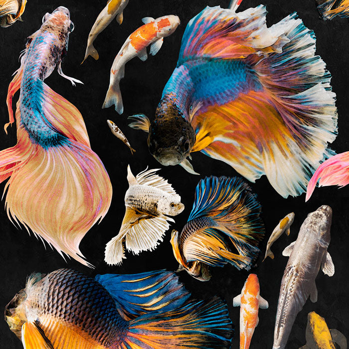 Mind the Gap Goldfish Anthracite WP20301 behang